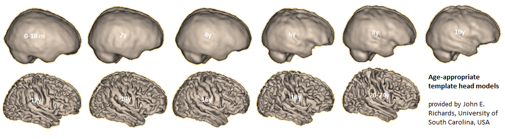 Age-appr head models