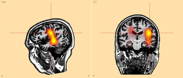 image-content-top_science-news